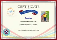 Locked Certificate Preview