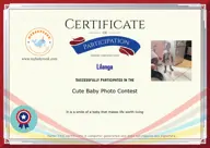 Locked Certificate Preview