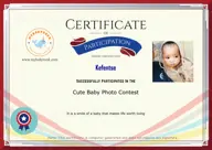 Locked Certificate Preview