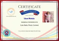 Locked Certificate Preview