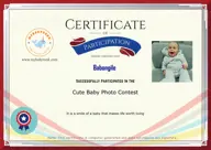 Locked Certificate Preview