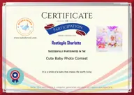 Locked Certificate Preview