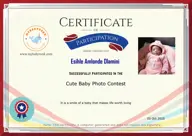 Locked Certificate Preview