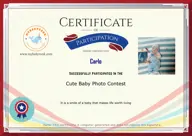 Locked Certificate Preview