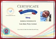 Locked Certificate Preview