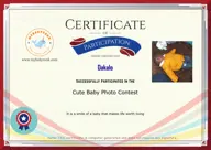 Locked Certificate Preview