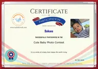 Locked Certificate Preview