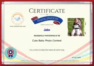 Locked Certificate Preview