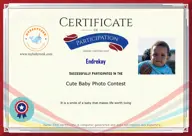 Locked Certificate Preview