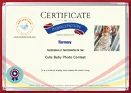 Locked Certificate Preview