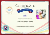 Locked Certificate Preview
