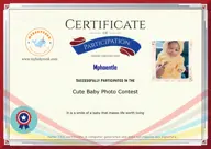 Locked Certificate Preview