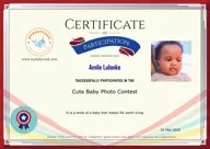 Locked Certificate Preview