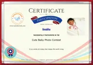 Locked Certificate Preview