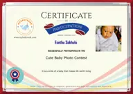 Locked Certificate Preview