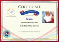 Locked Certificate Preview