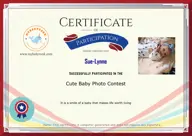 Locked Certificate Preview
