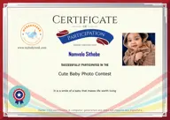 Locked Certificate Preview