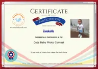 Locked Certificate Preview