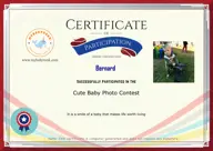 Locked Certificate Preview