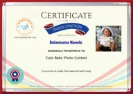 Locked Certificate Preview