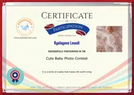 Locked Certificate Preview