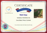 Locked Certificate Preview