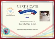 Locked Certificate Preview