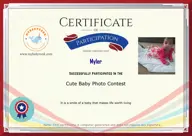 Locked Certificate Preview