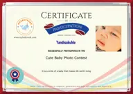 Locked Certificate Preview