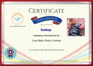 Locked Certificate Preview