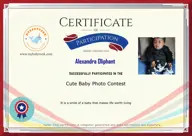 Locked Certificate Preview