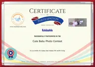 Locked Certificate Preview