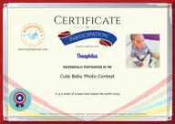 Locked Certificate Preview