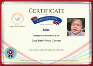 Locked Certificate Preview