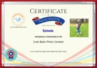 Locked Certificate Preview