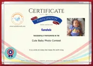 Locked Certificate Preview