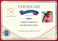 Locked Certificate Preview