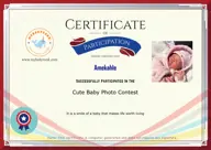 Locked Certificate Preview
