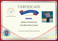 Locked Certificate Preview