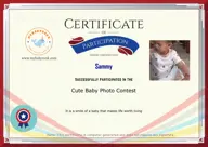 Locked Certificate Preview