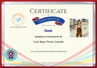 Locked Certificate Preview