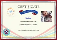 Locked Certificate Preview