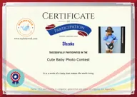 Locked Certificate Preview