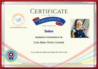 Locked Certificate Preview