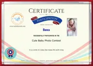 Locked Certificate Preview