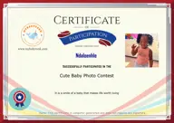 Locked Certificate Preview