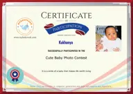 Locked Certificate Preview