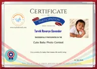 Locked Certificate Preview