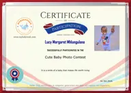 Locked Certificate Preview